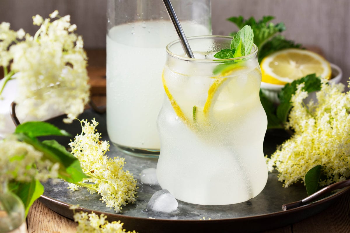 Refreshing fermented elderflower drink with lemon slices, mint and ice